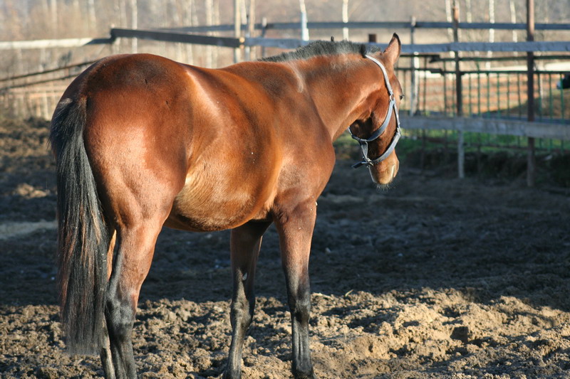 IMG_1305.jpg1.jpg"%20height="533"%20width="800